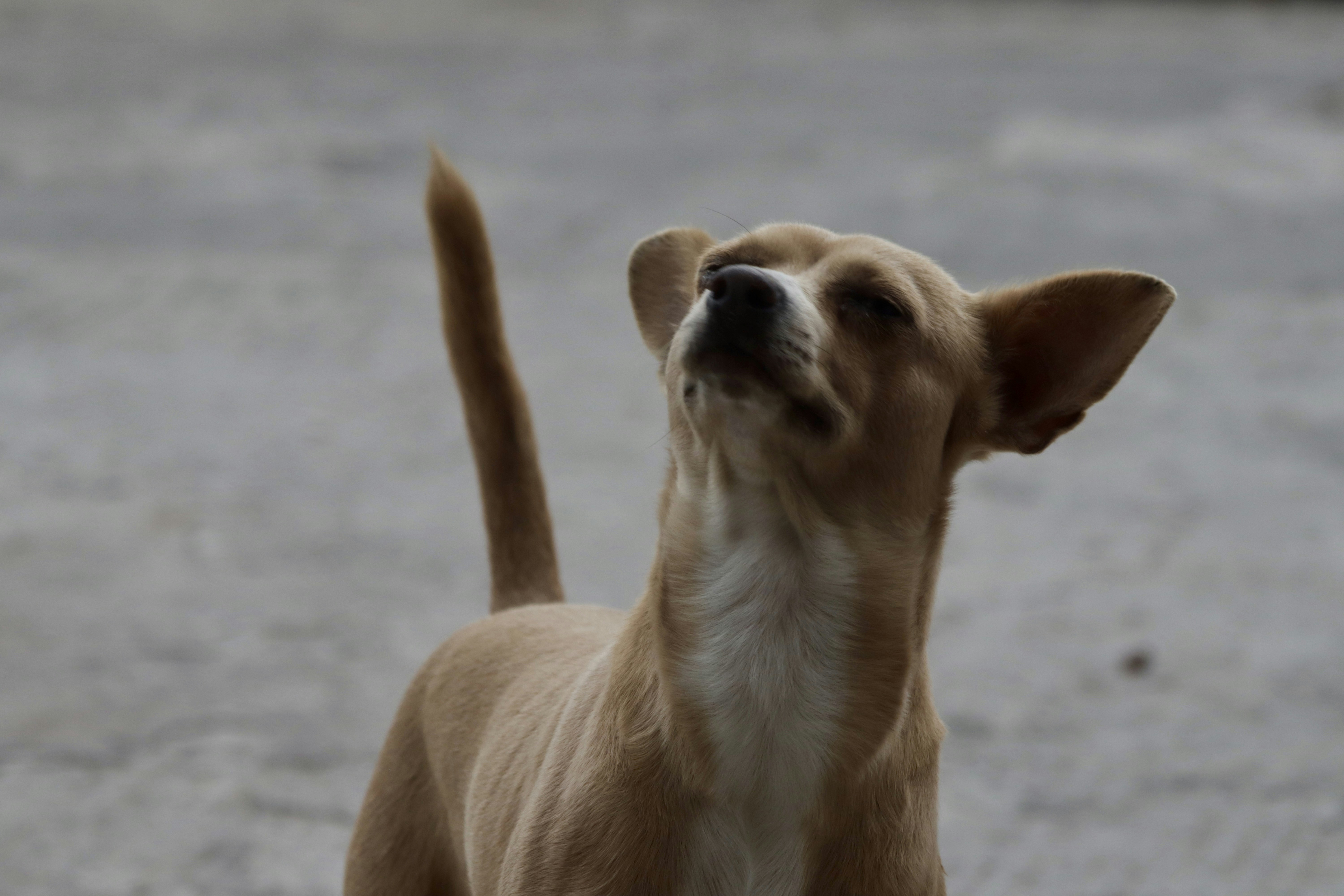 Photo by jorgeel_vm09