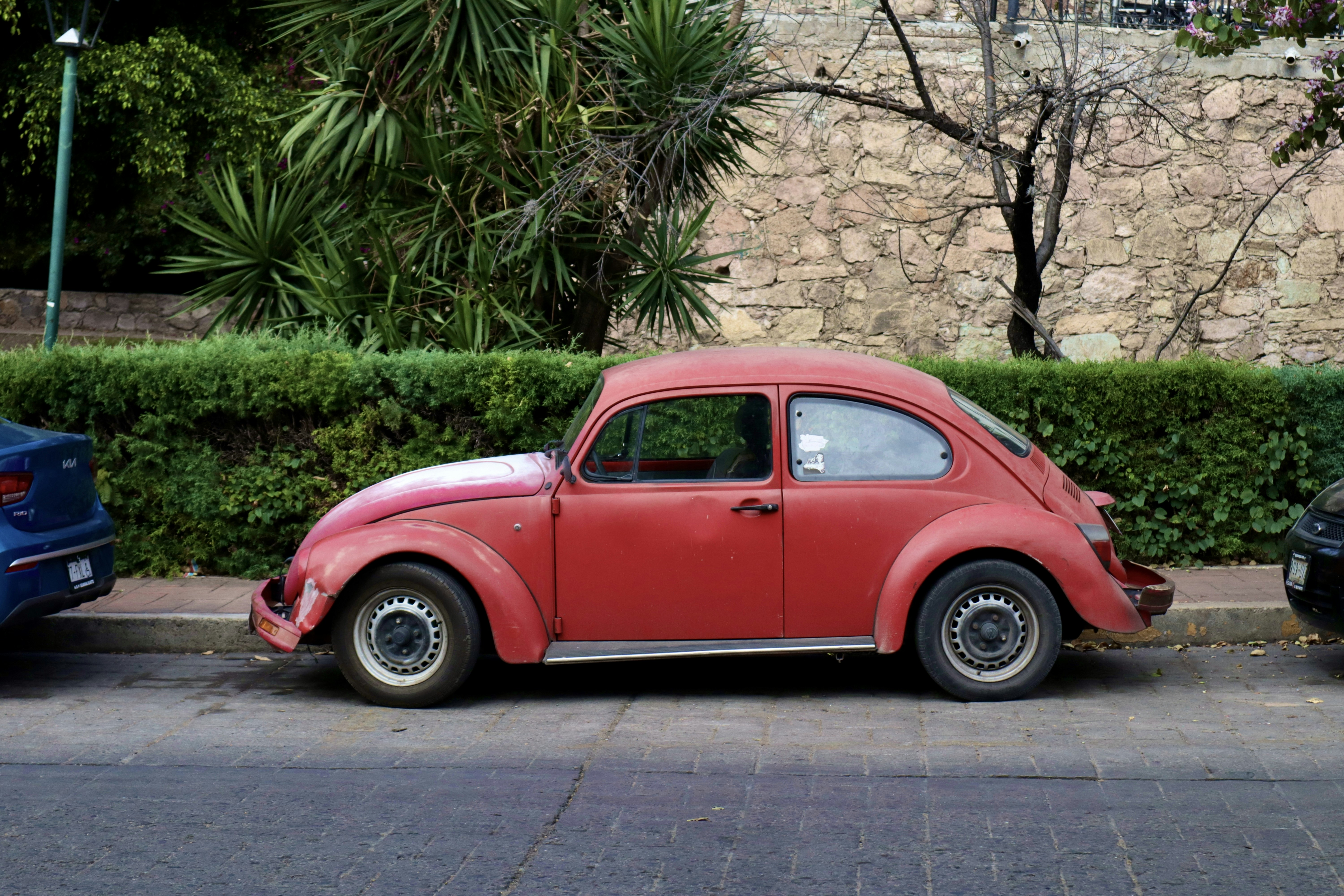 Photo by jorgeel_vm09