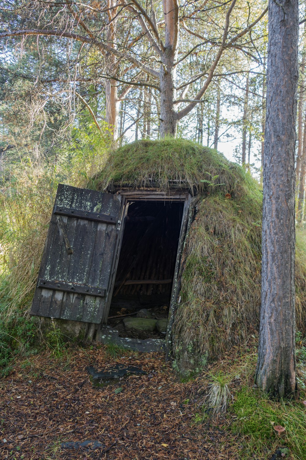 an old wooden structure with moss growing on it in the woods