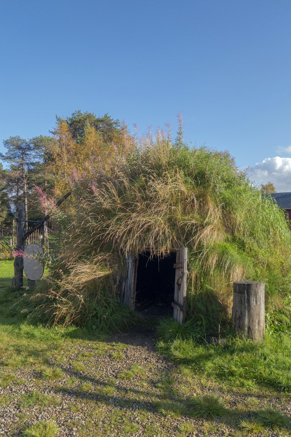 a small hut with grass growing out of it