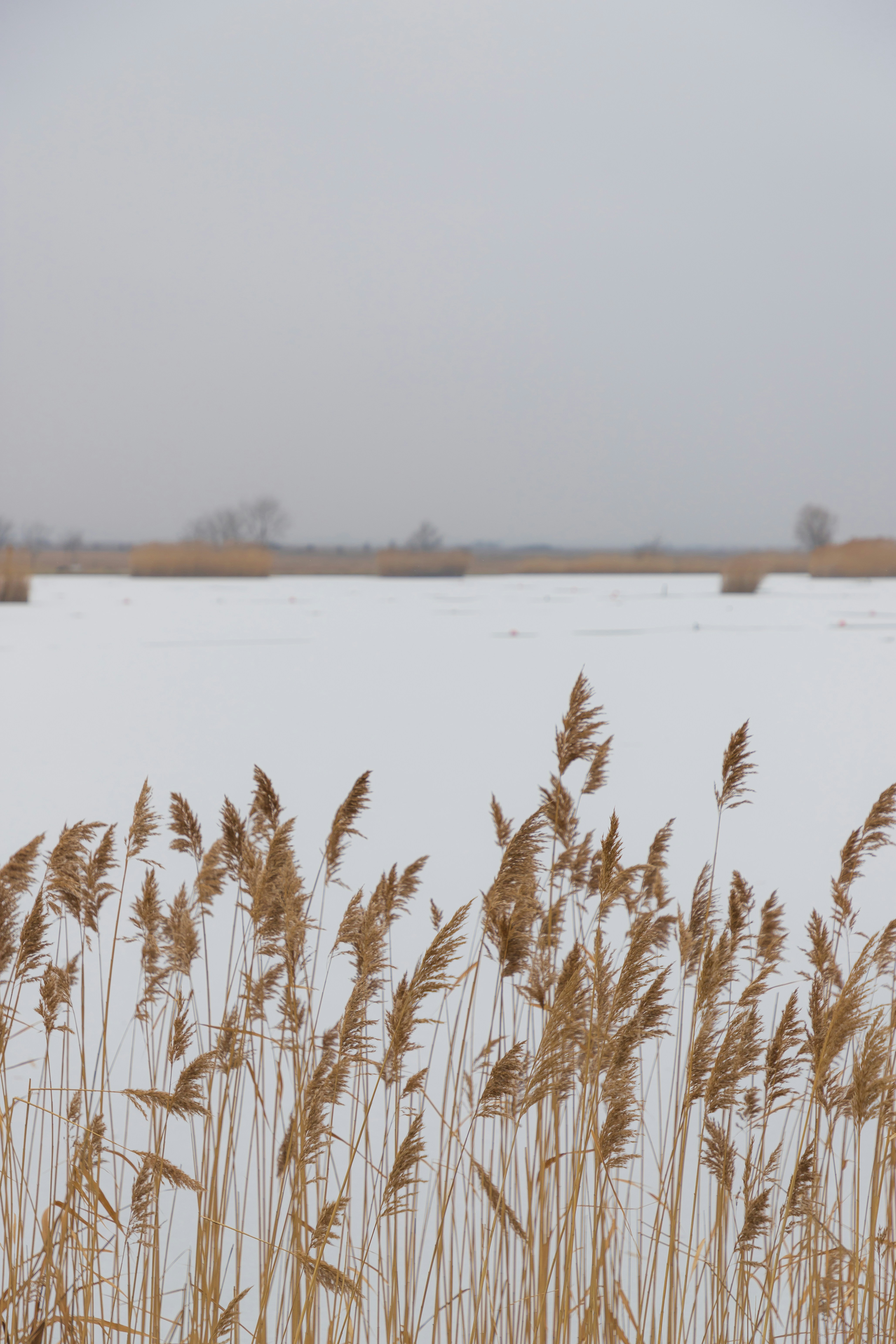 Photo by jovanvasiljevic