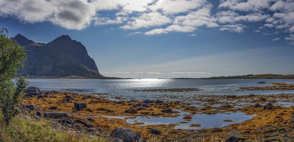 a body of water surrounded by grass and rocks