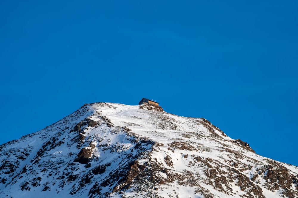 a snow covered mountain with a bird perched on top of it