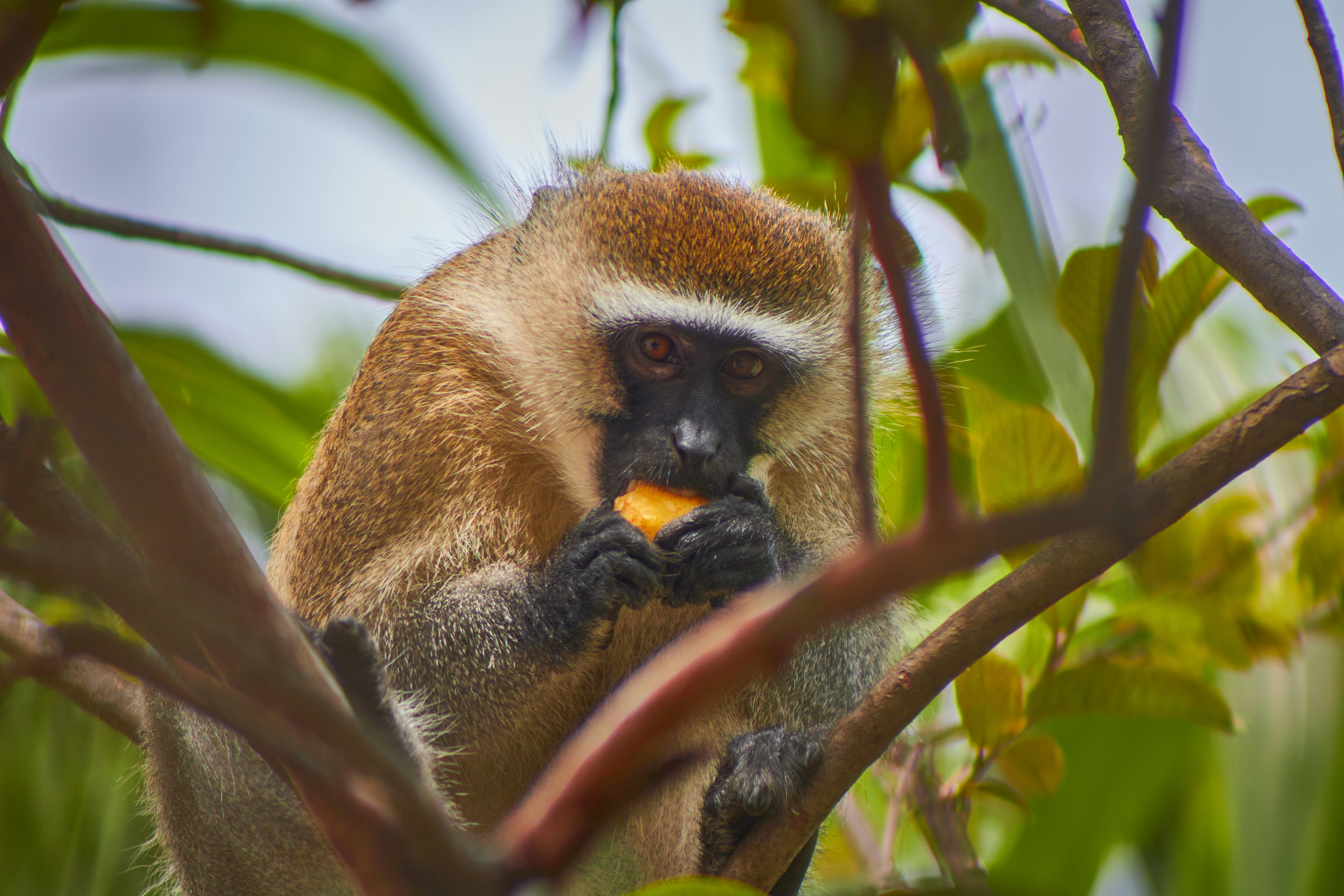 Photo by directorvin