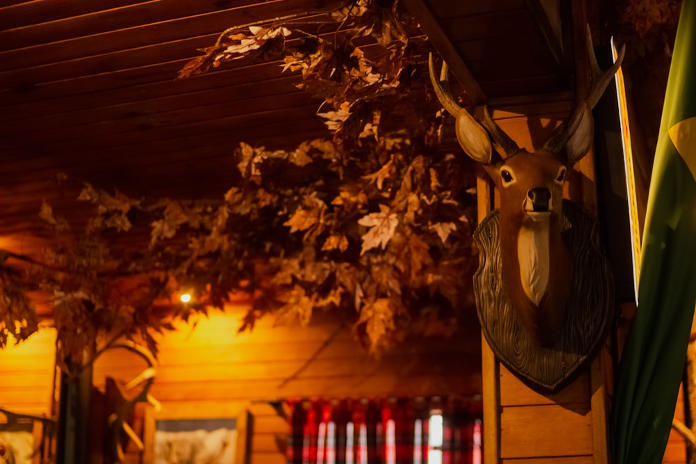 a deer head mounted to the side of a wooden wall