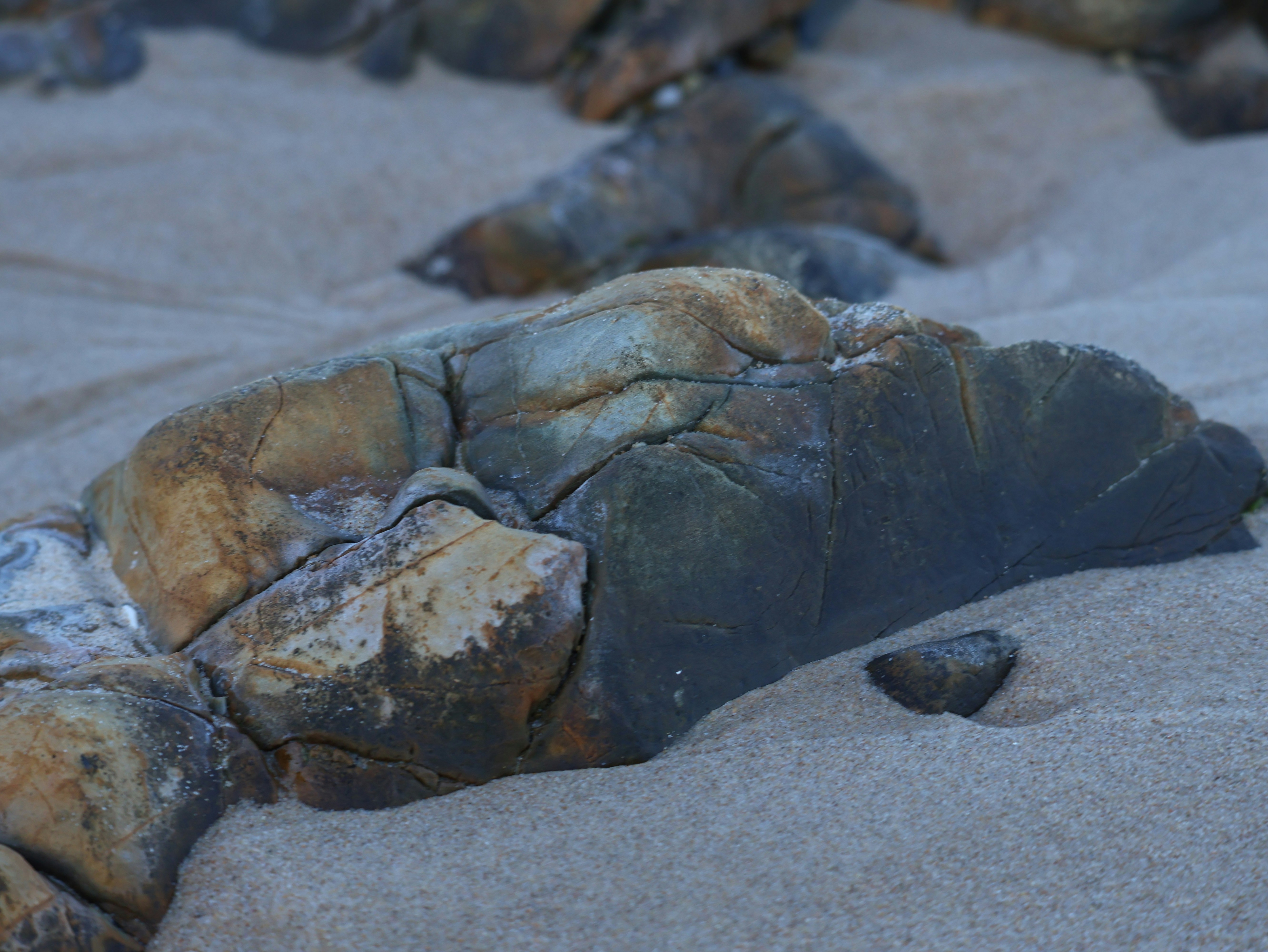 Photo by daniellawithoutane