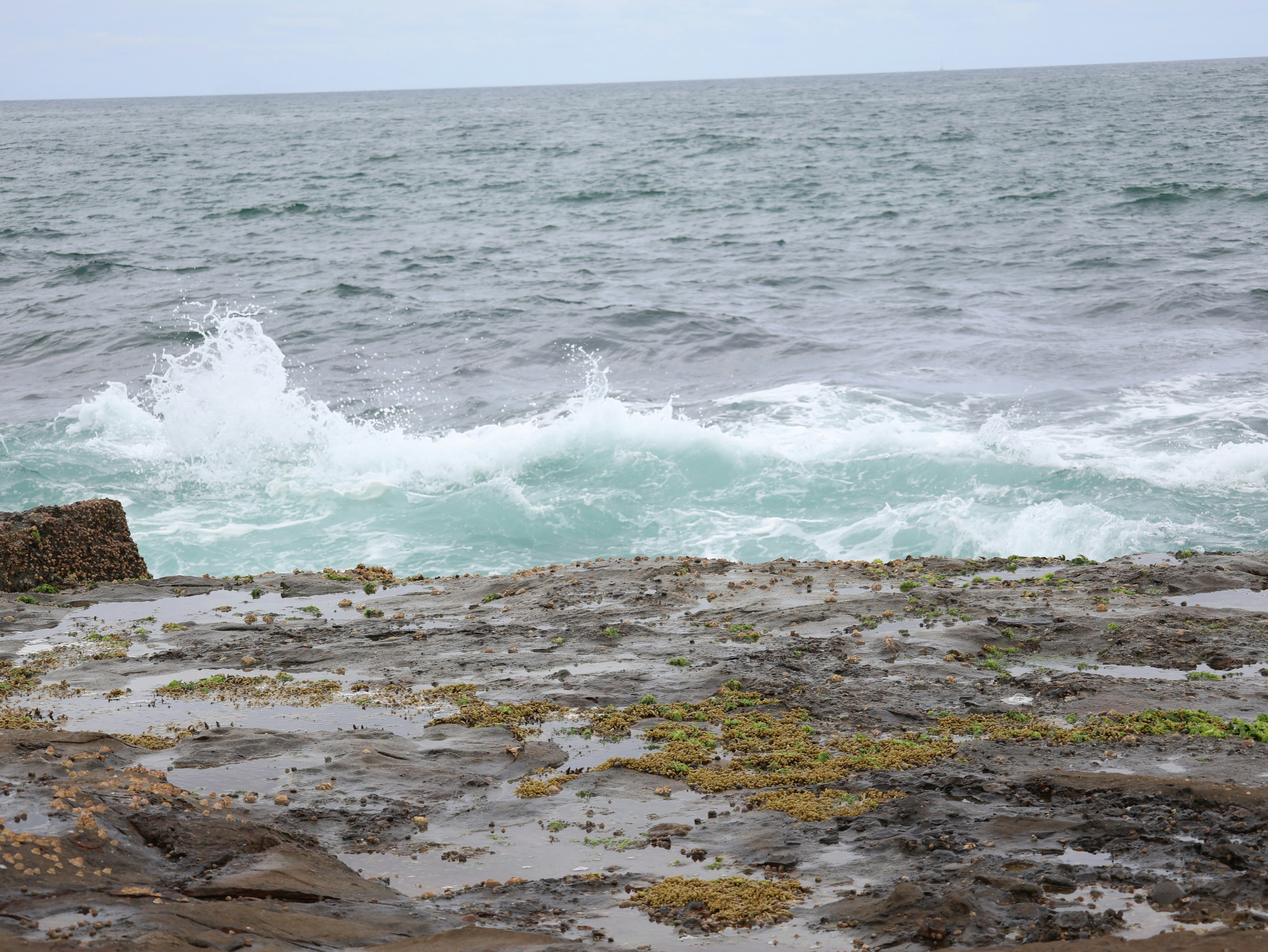 Photo by daniellawithoutane