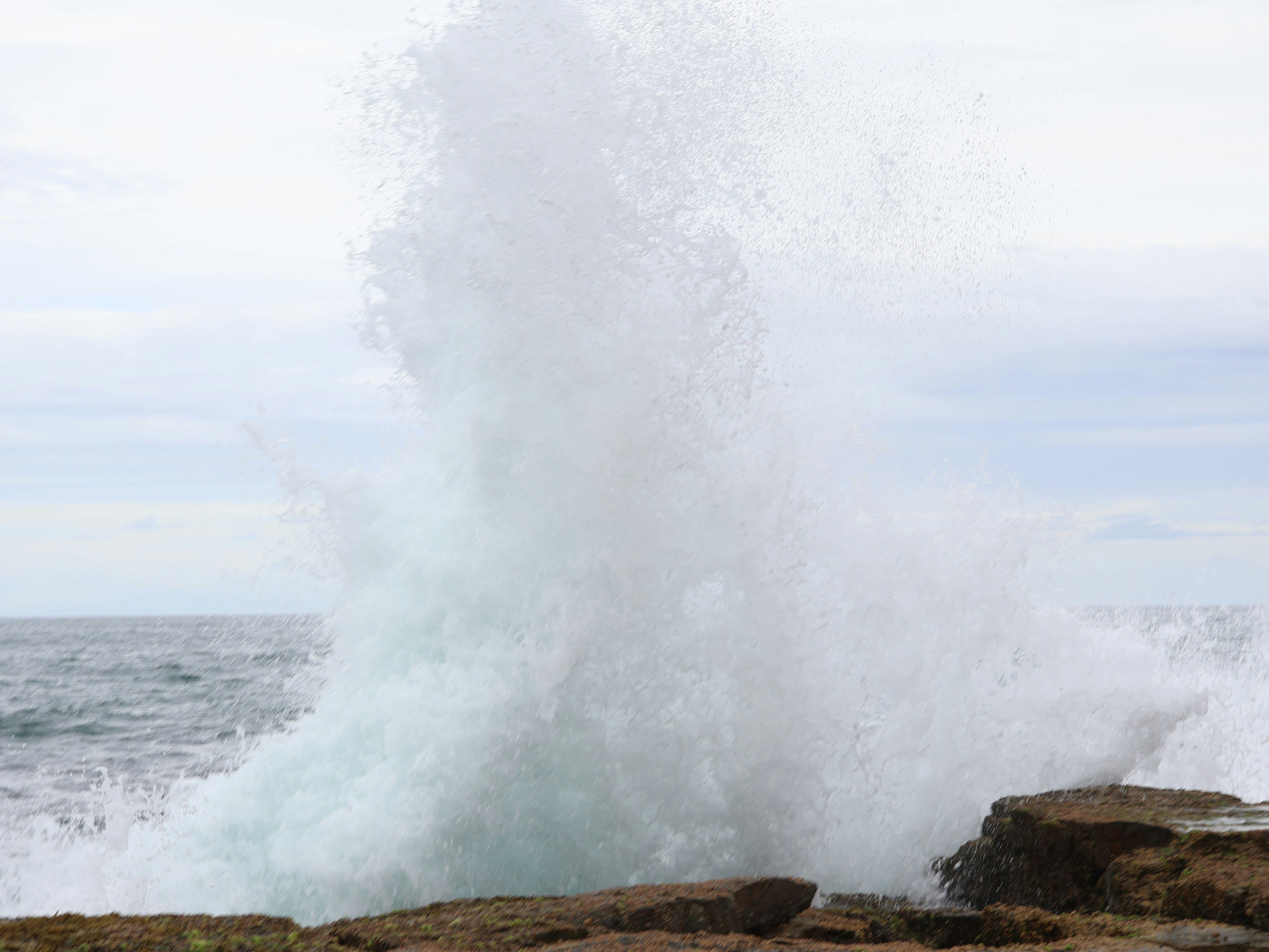 Photo by daniellawithoutane