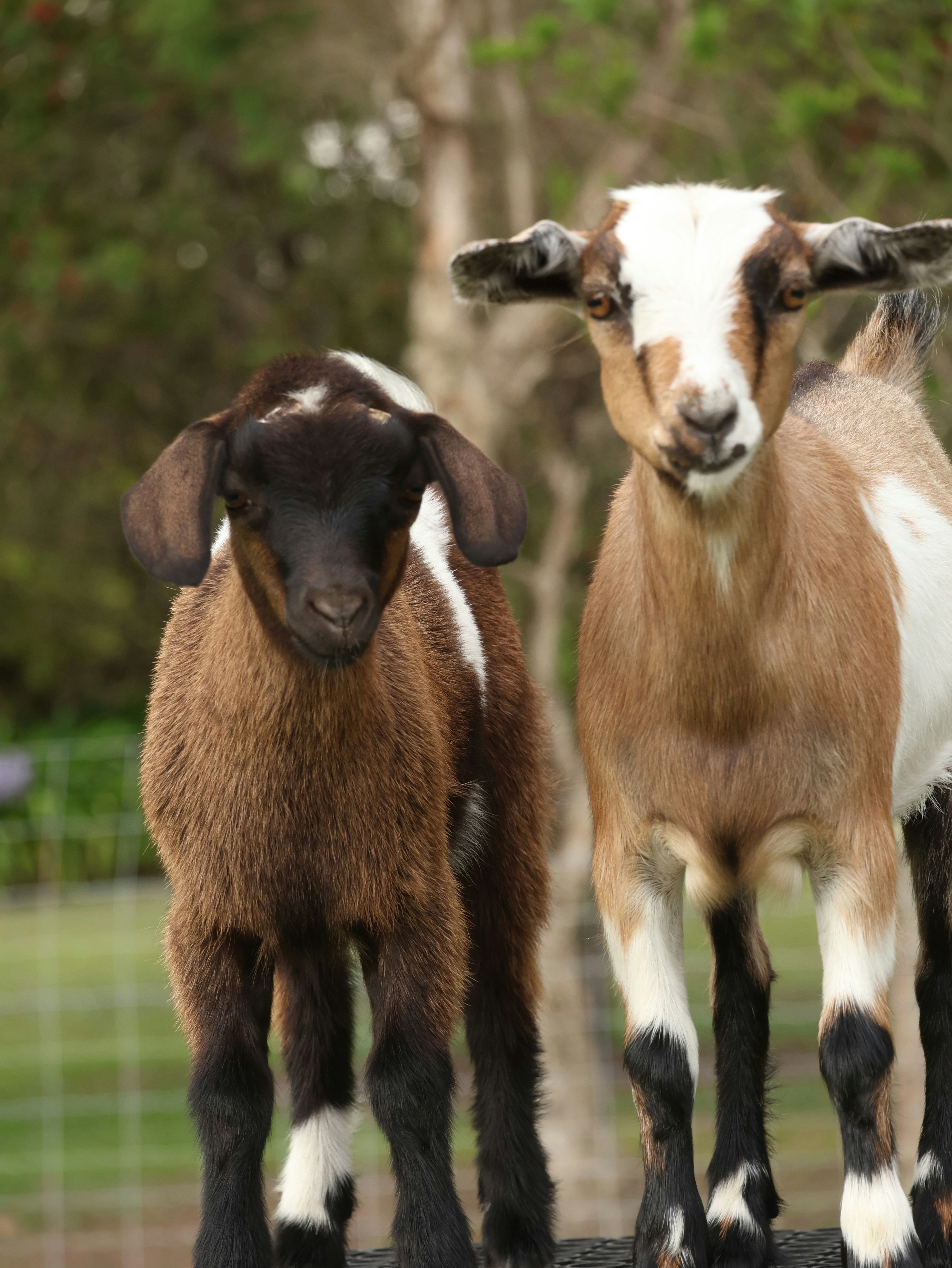 Photo by daniellawithoutane