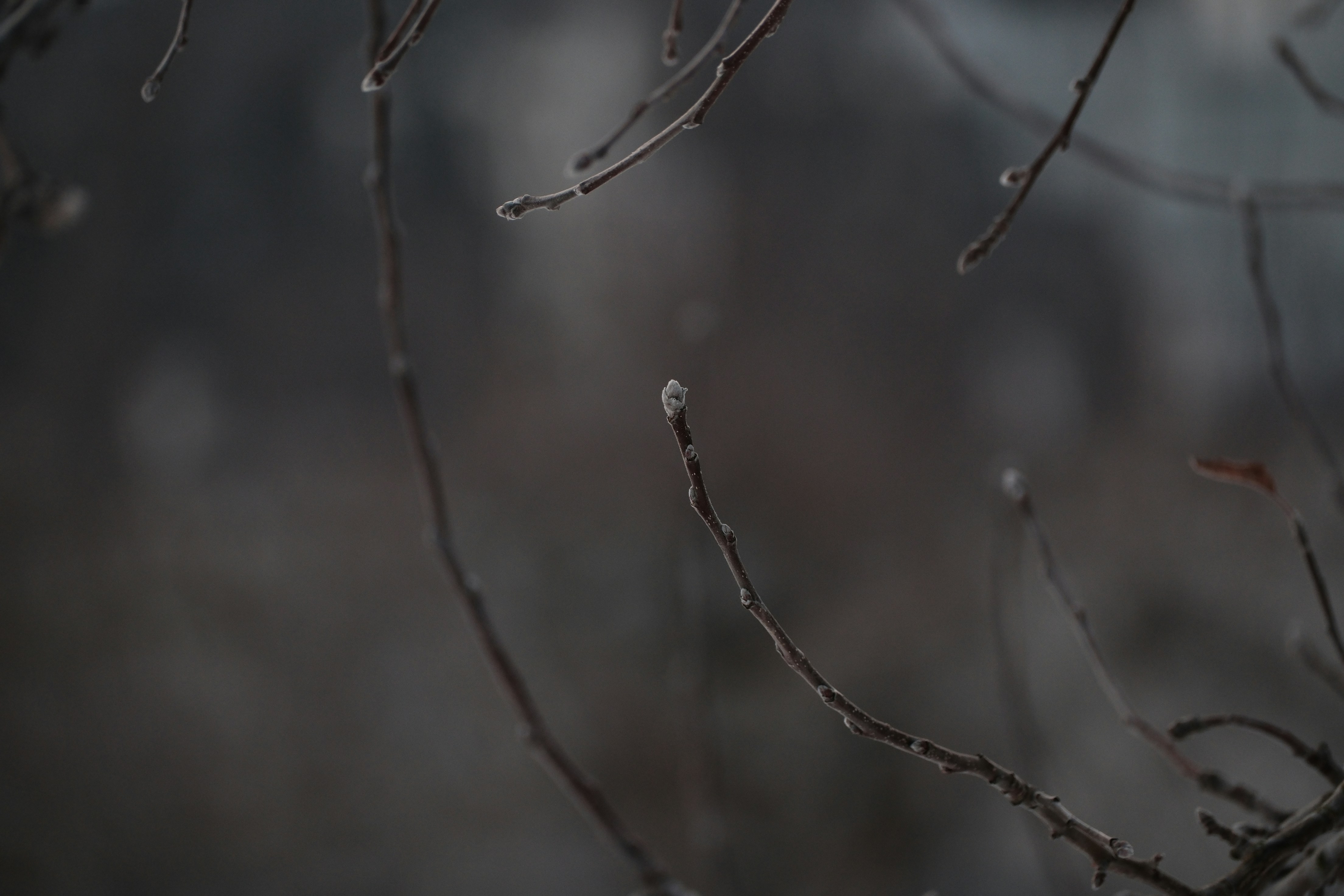 Photo by seiya_maeda