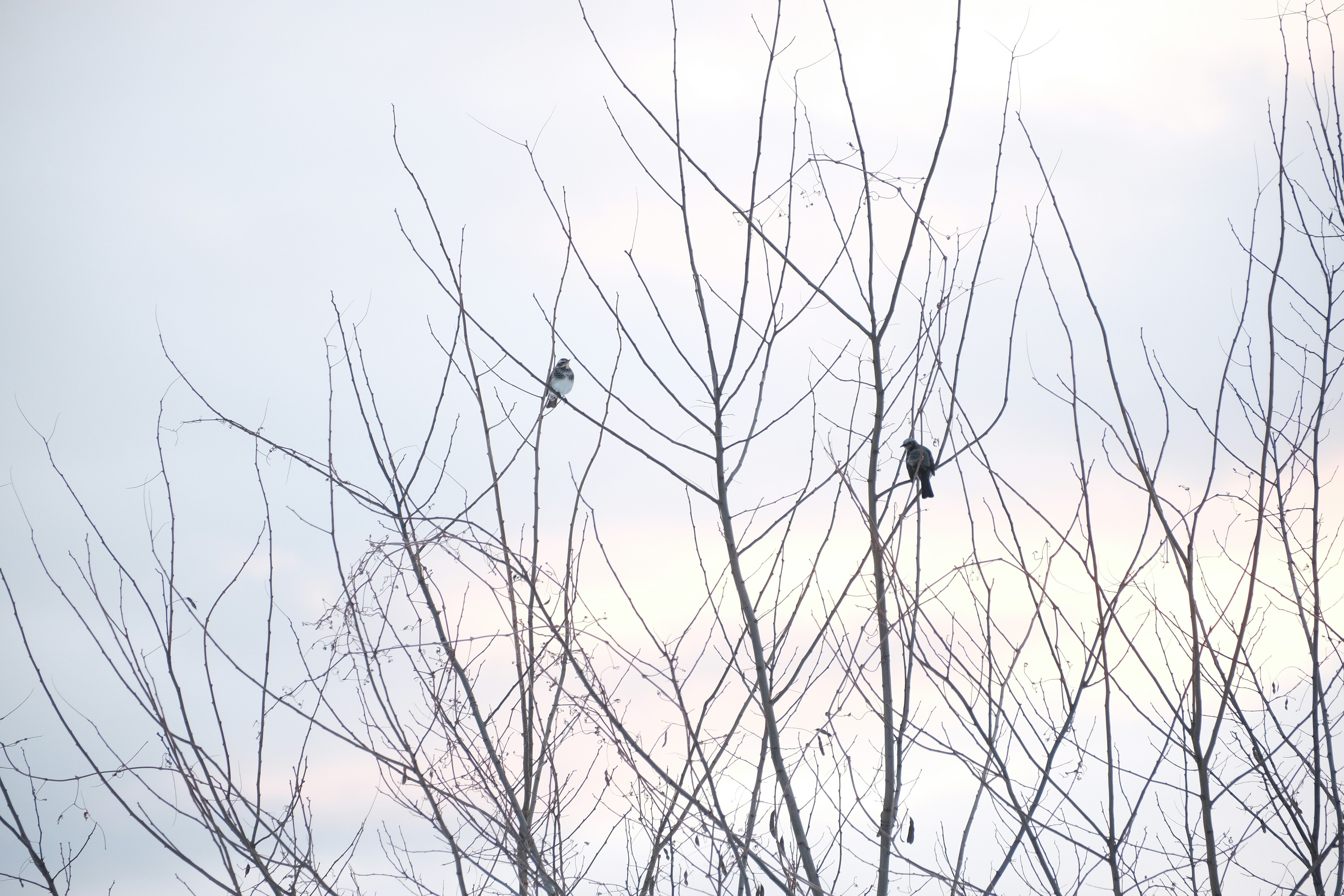 Photo by seiya_maeda