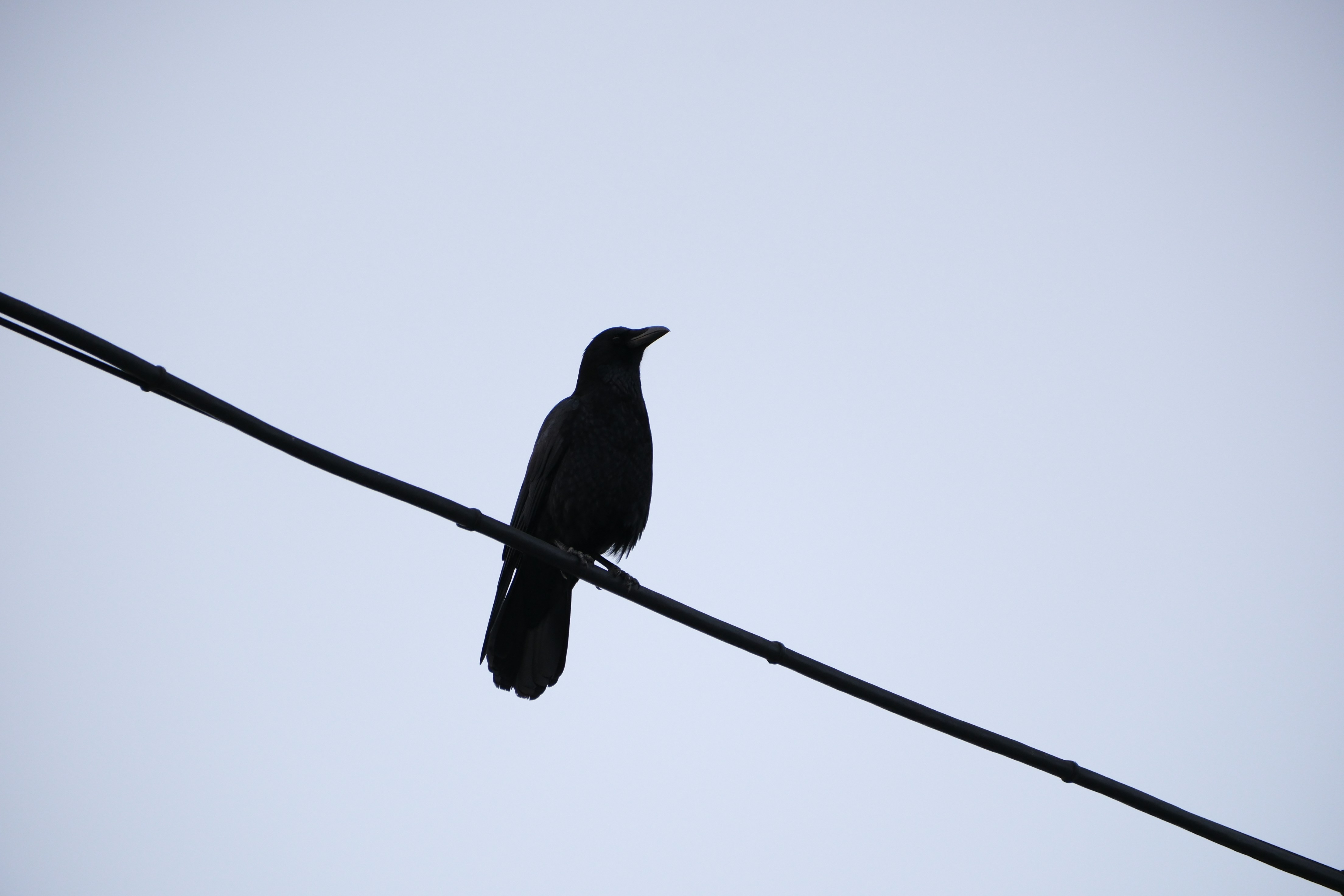 Photo by seiya_maeda