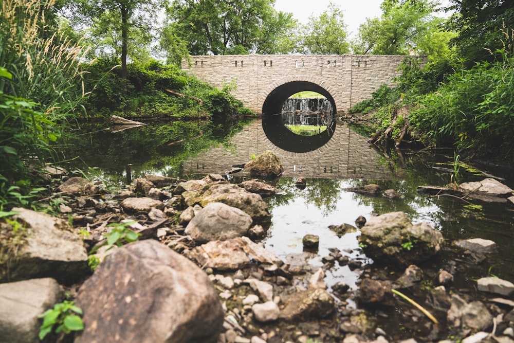 a stone bridge over a river surrounded by trees