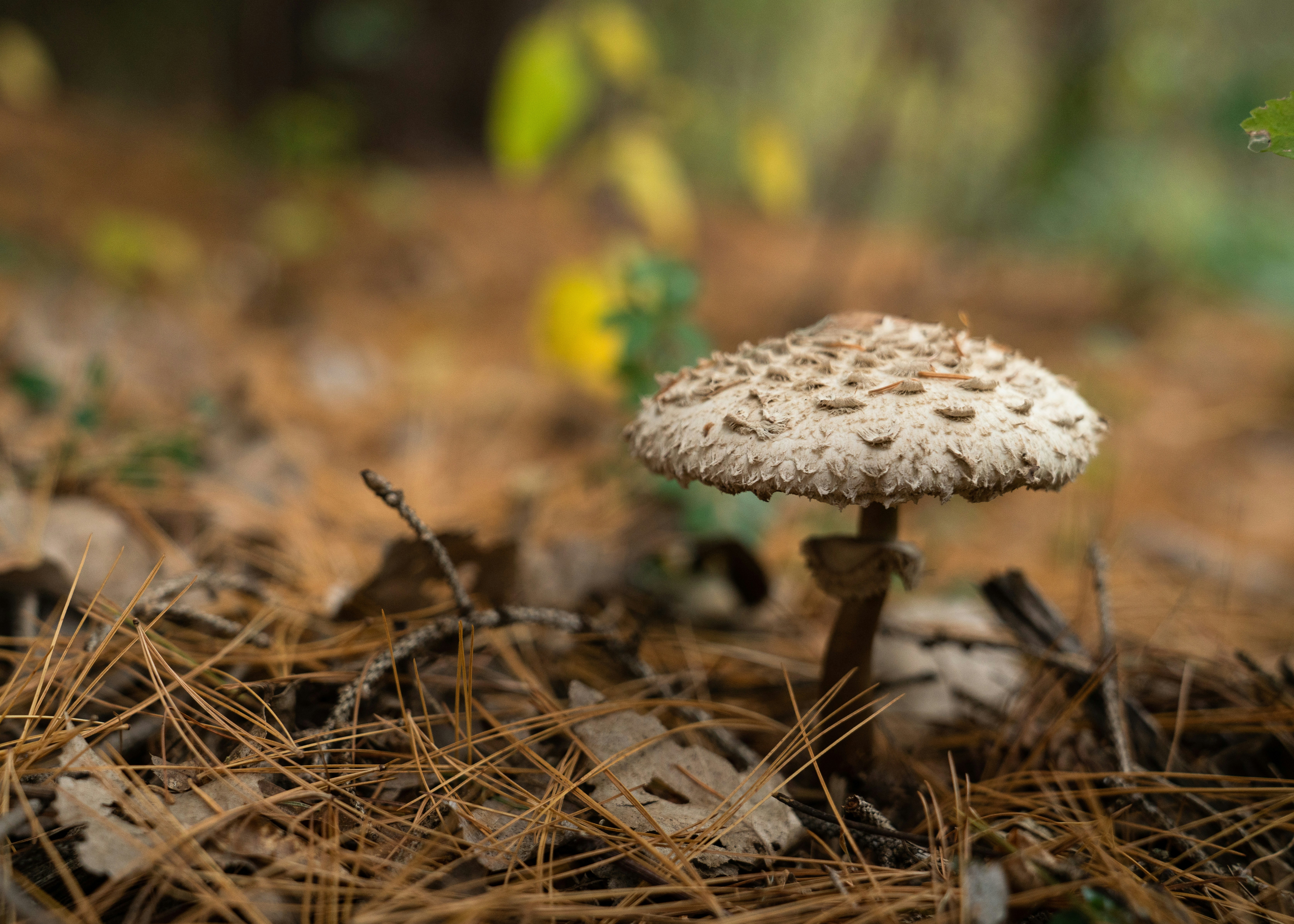 Photo by kristenelizabethphoto