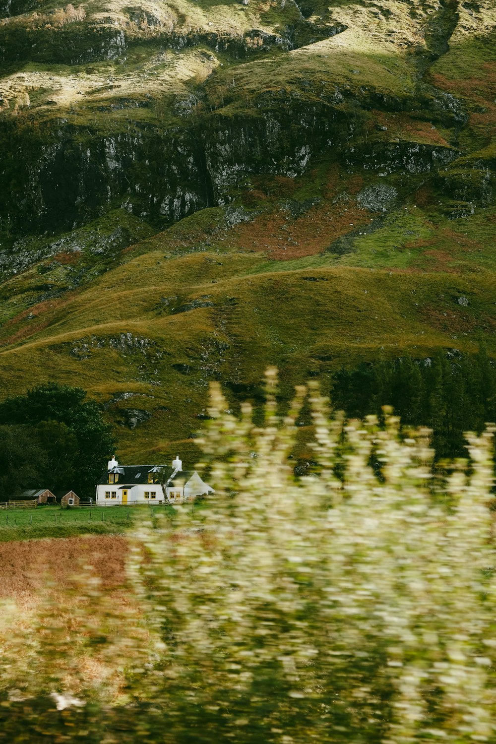 a house in the middle of a field with a mountain in the background