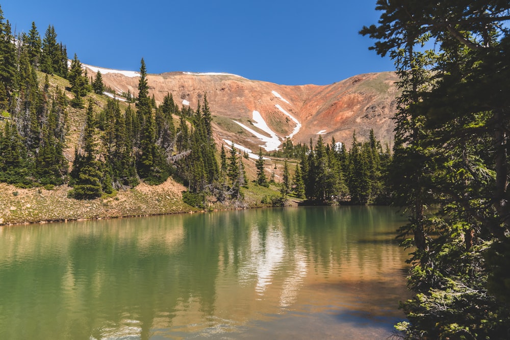 a lake surrounded by trees and a mountain