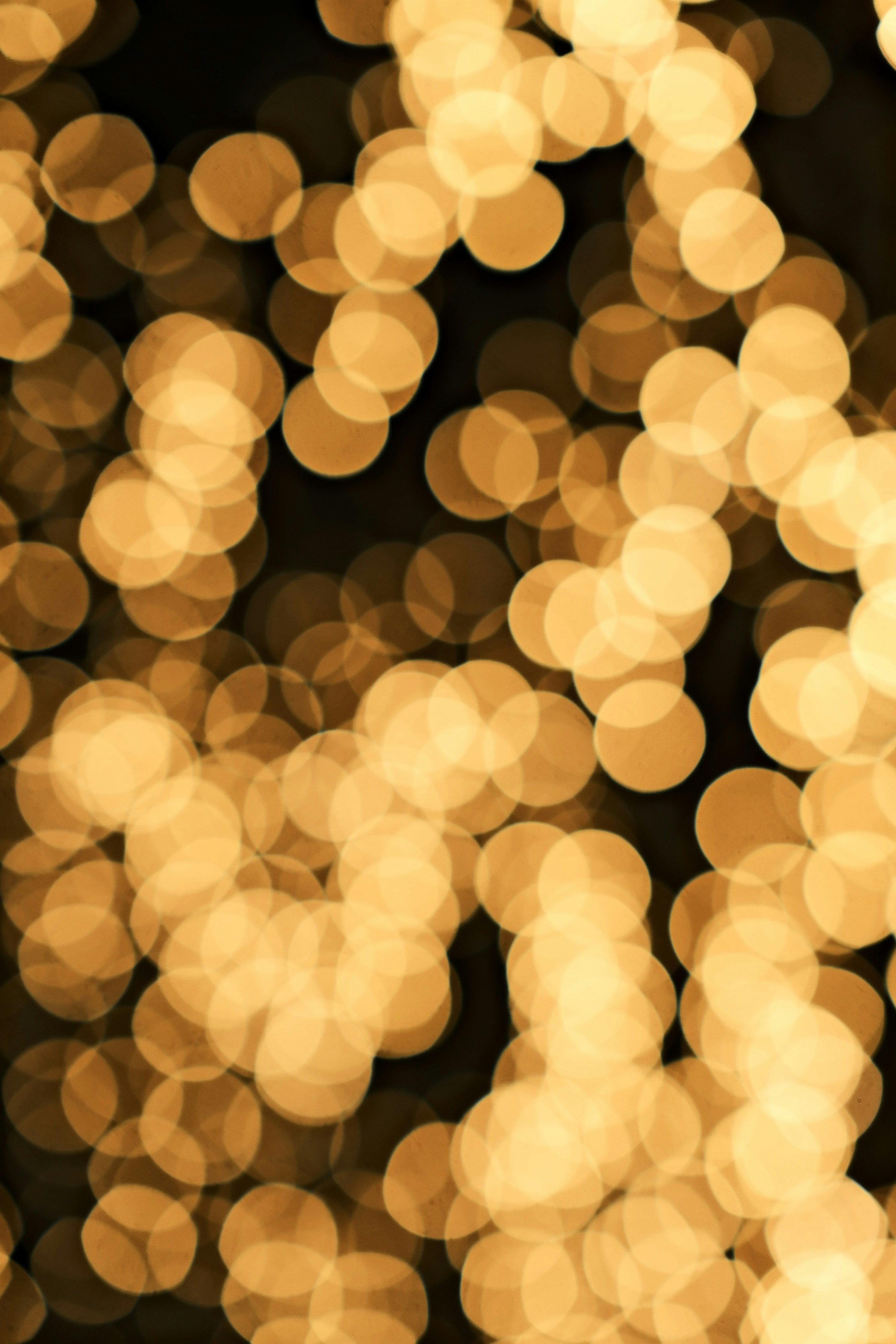 Photo by yokonoito0512