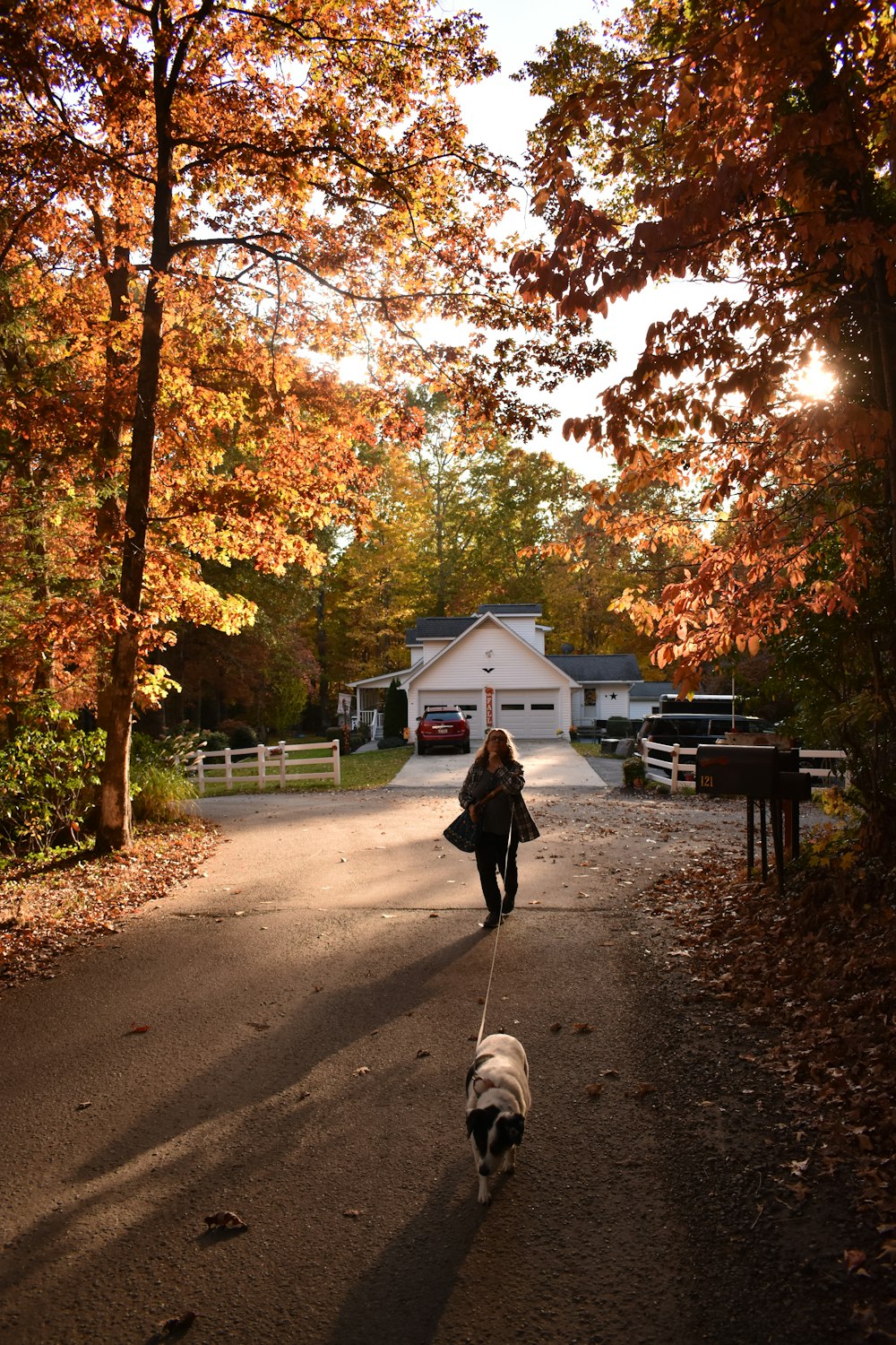 a woman walking a dog down a road