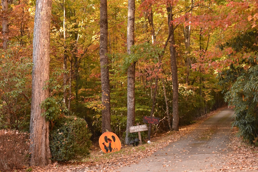 a sign on the side of a road in the woods