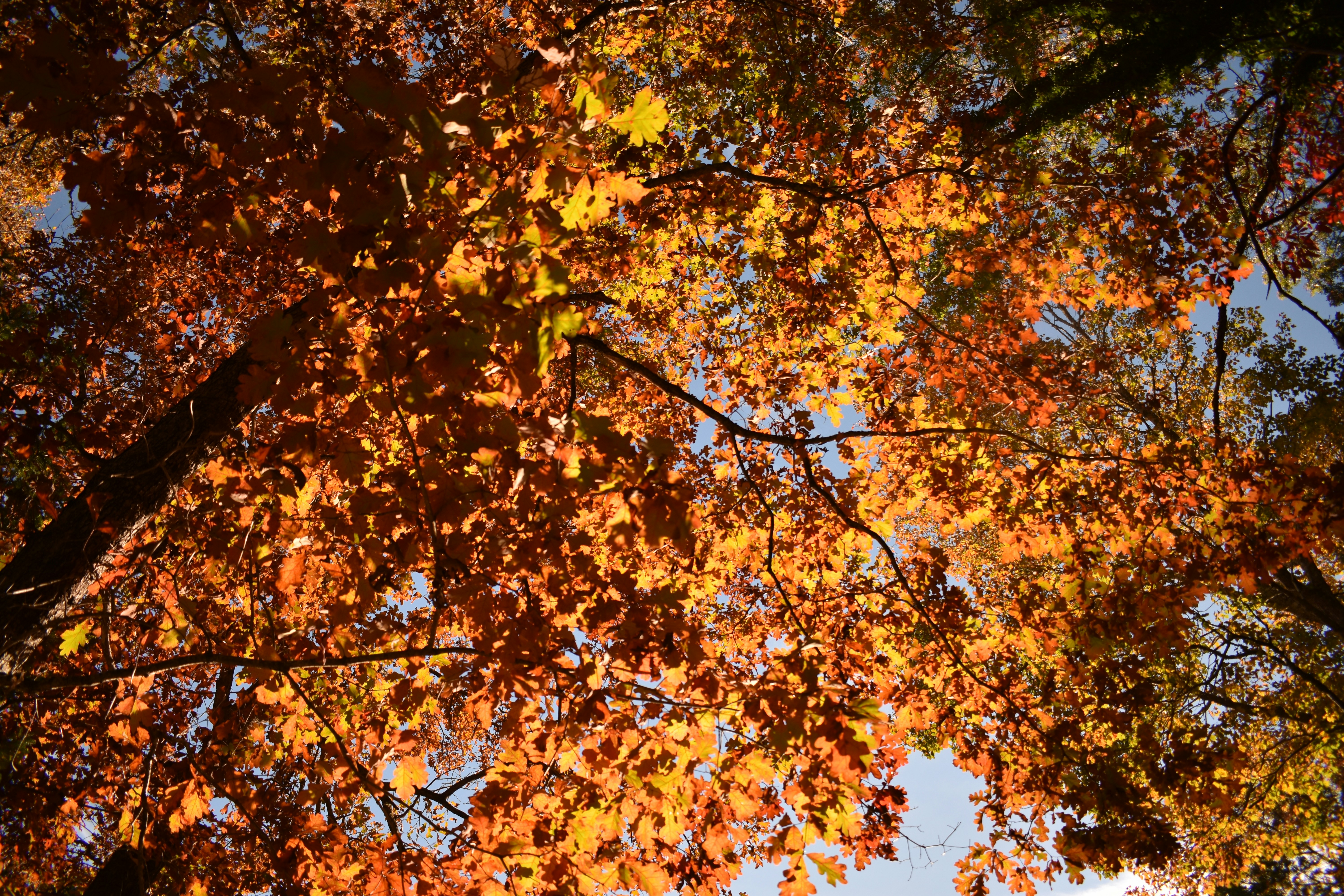 Photo by audrivangores