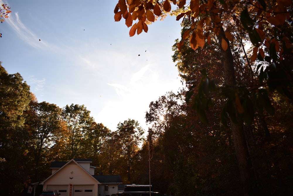 a house surrounded by trees with a sky background