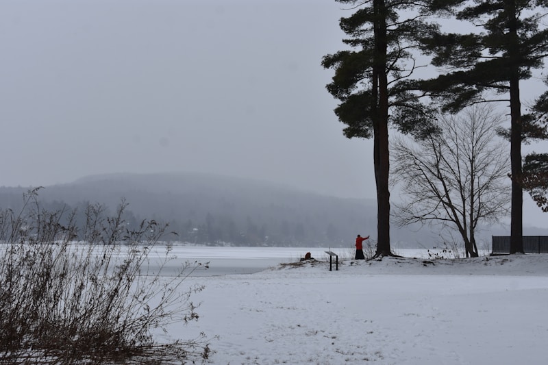 Couple enjoying snowy field view