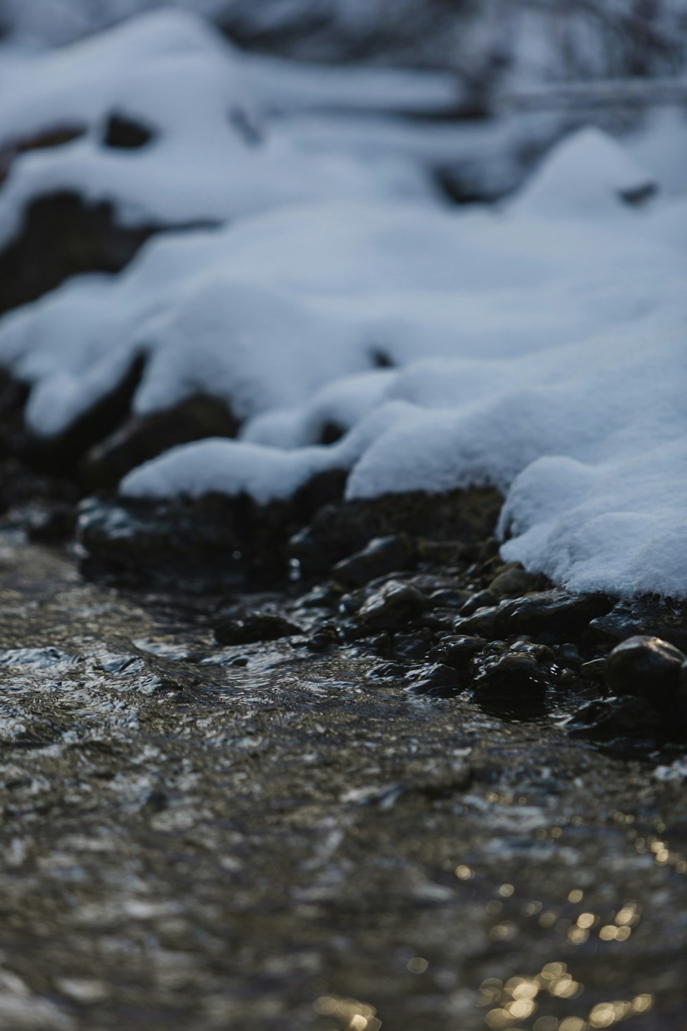 a stream running through a forest covered in snow