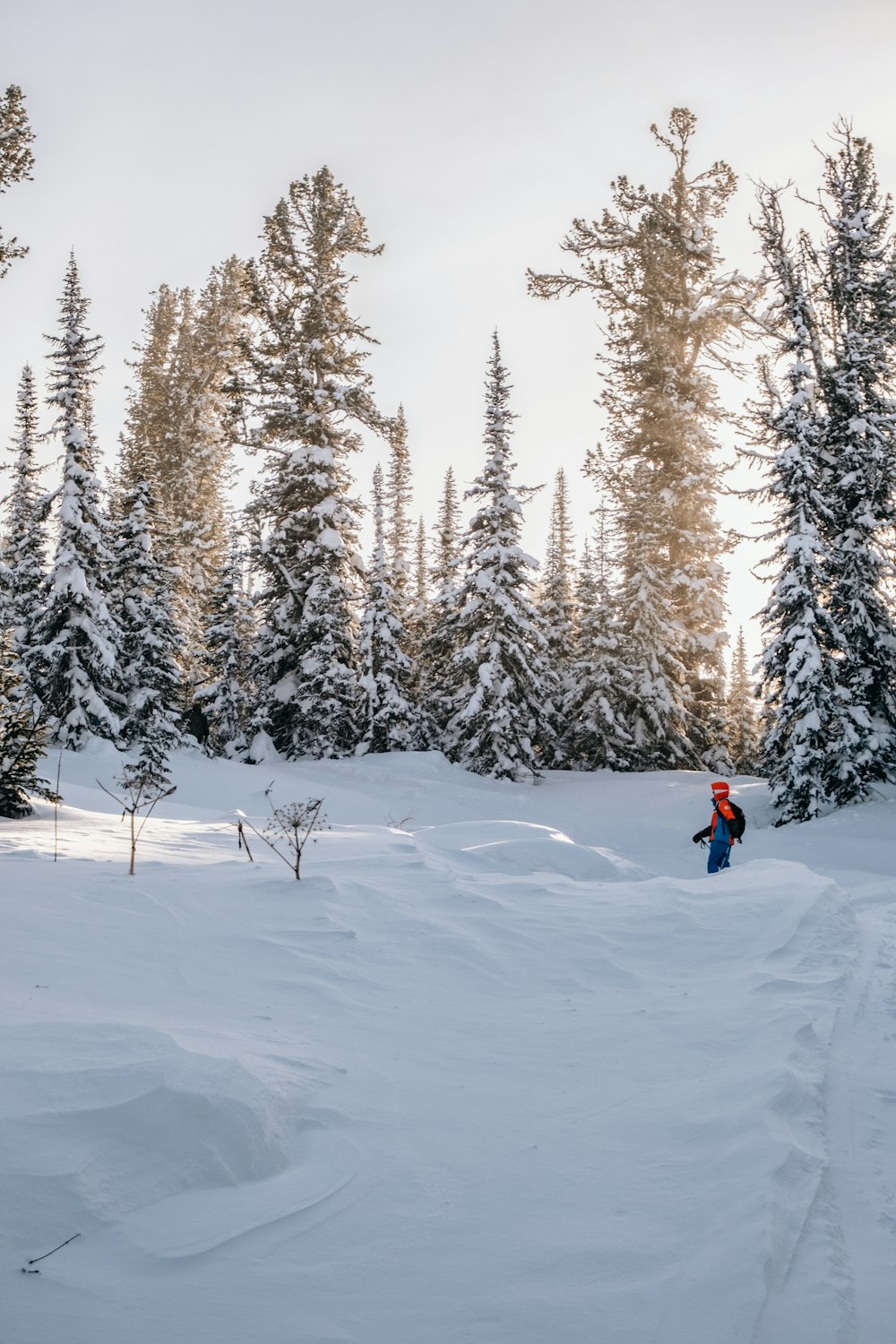 a person riding a snowboard down a snow covered slope