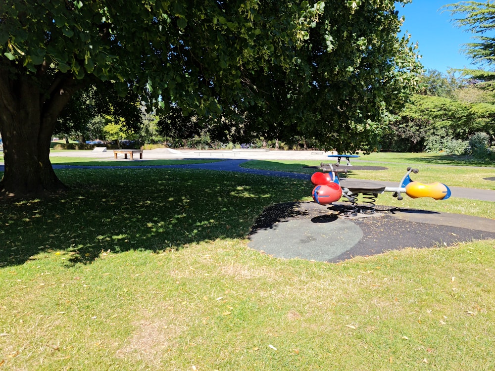 un parc avec une aire de jeux et un arbre