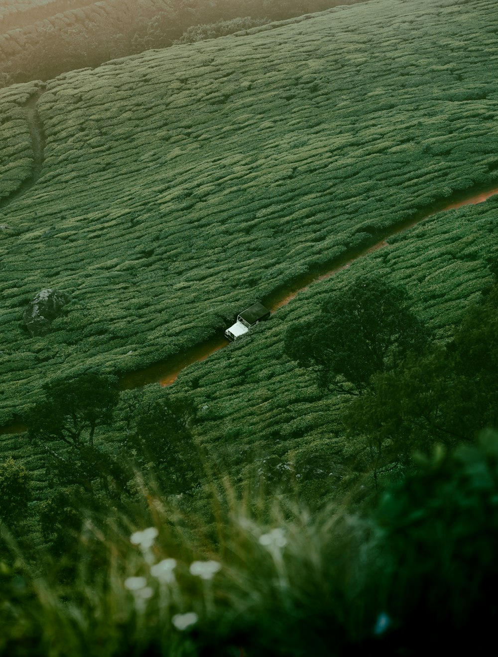 a grassy field with a stream running through it