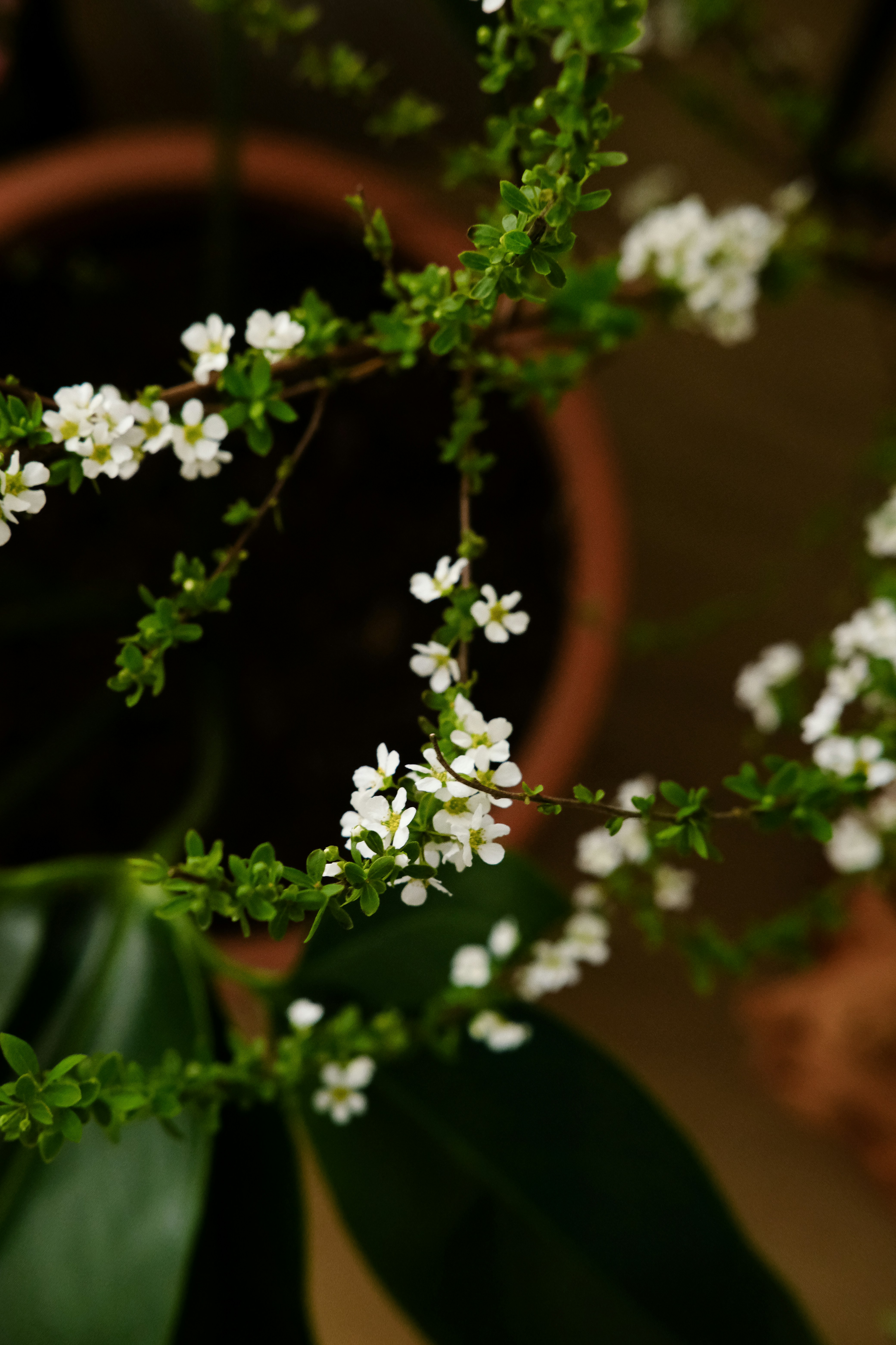 Photo by nganduong93