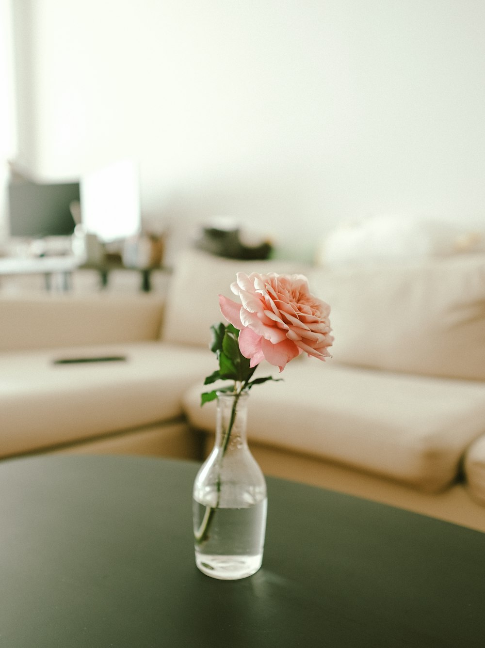 a vase with a pink flower on a table