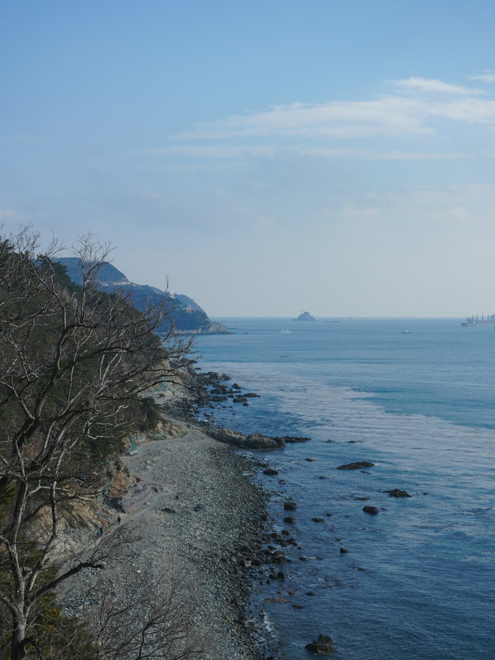 a body of water surrounded by trees and rocks