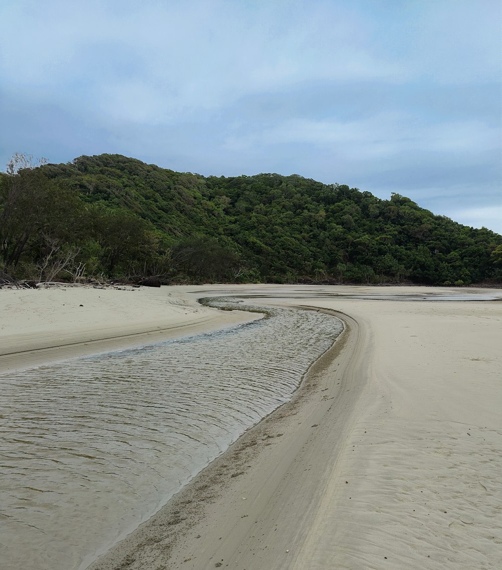 a sandy beach with a hill in the background