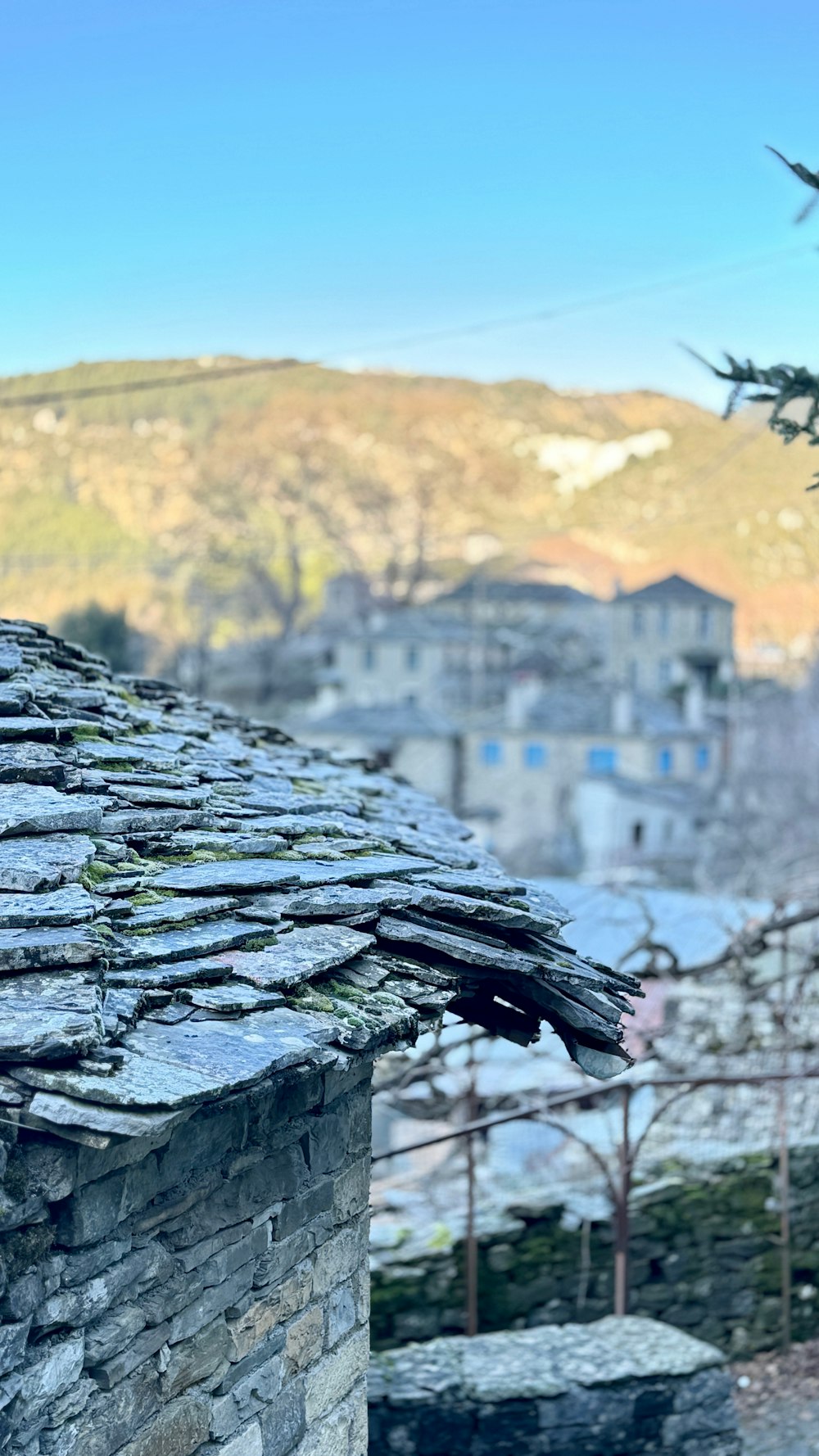 a bird sitting on top of a roof next to a tree