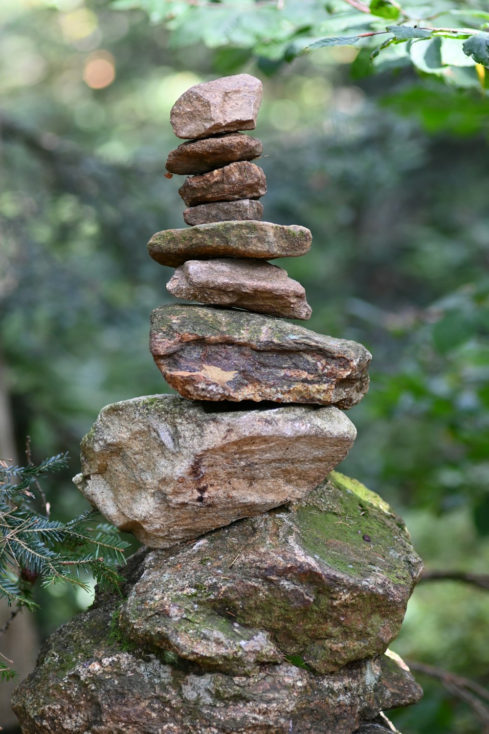 a pile of rocks sitting on top of a forest floor