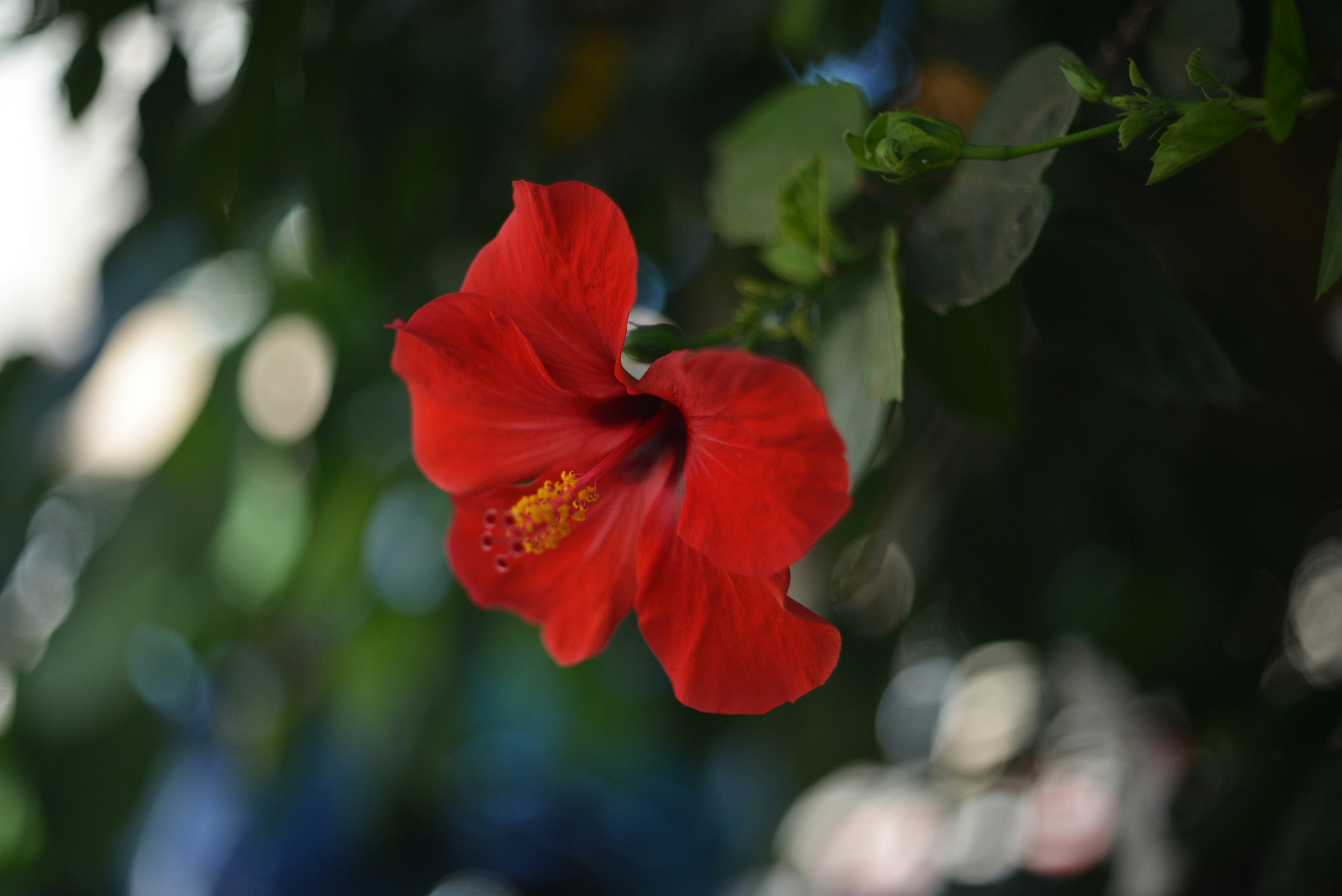 Photo by cherstve_pechivo