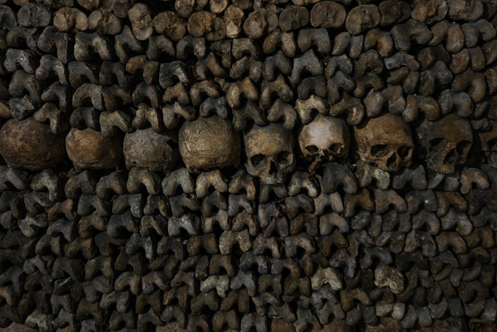 un tas de crânes qui sont sur un mur
