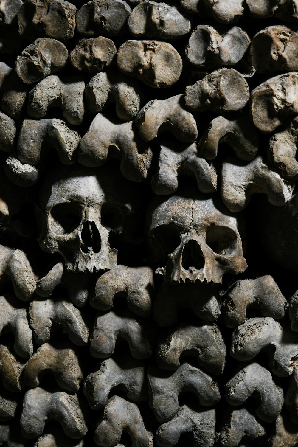 a bunch of skulls that are stacked on top of each other