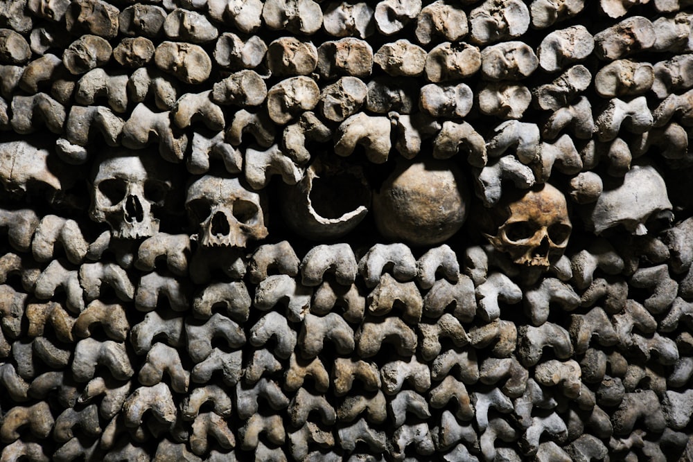 a bunch of skulls that are on a wall