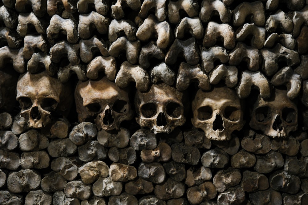 a bunch of skulls that are on a wall