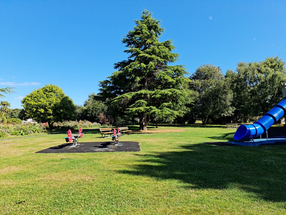 children playing in a park with a blue slide