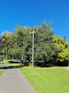 a street light sitting next to a lush green park