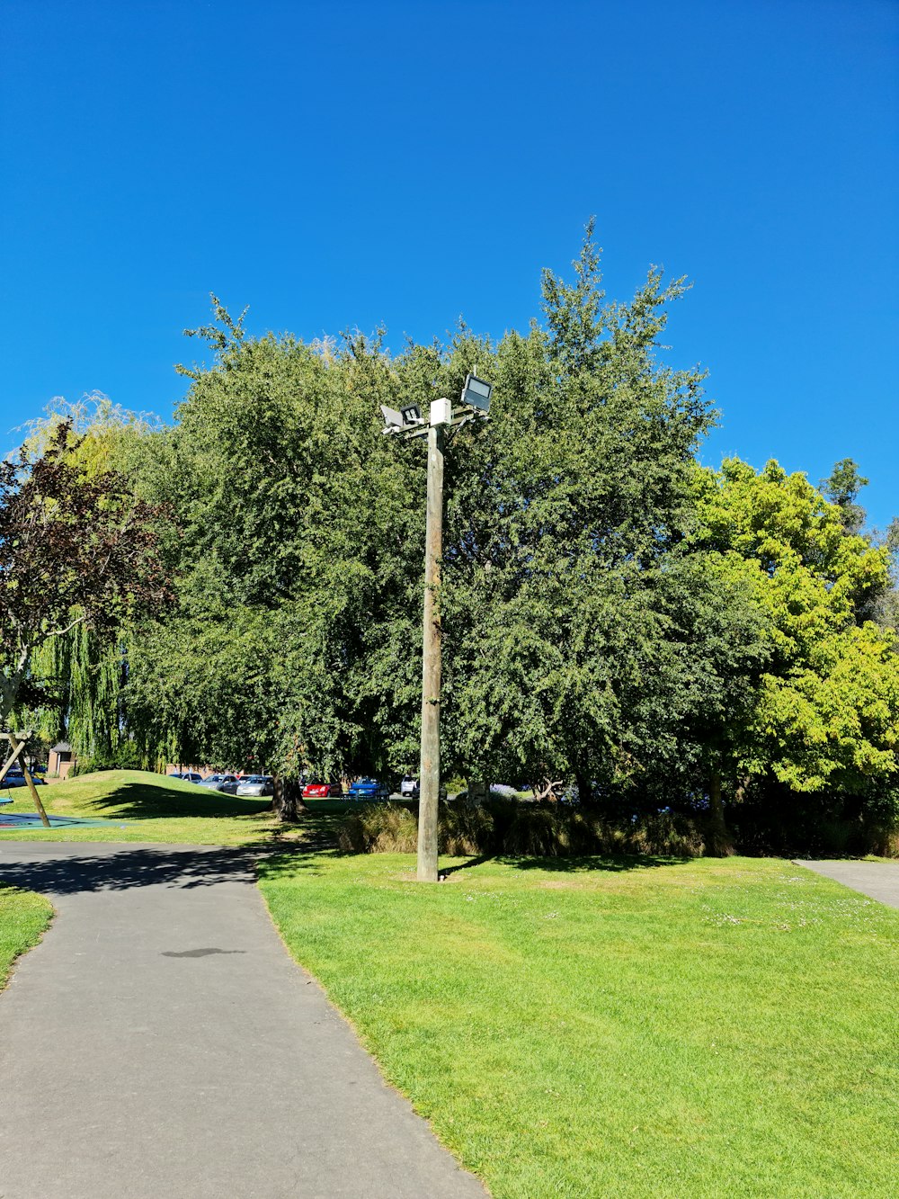 a street light sitting next to a lush green park