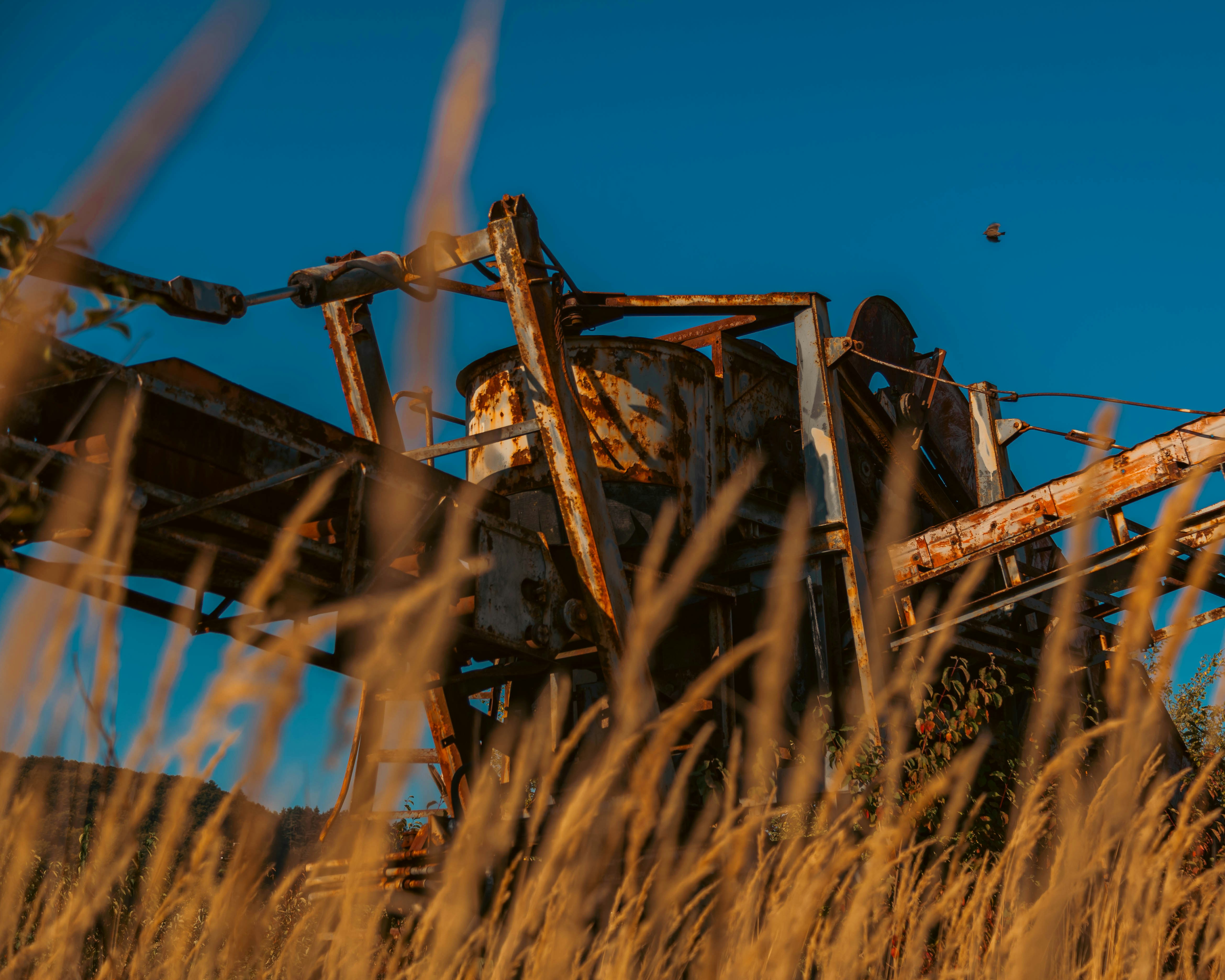 an old rusted tractor in a field of tall grass