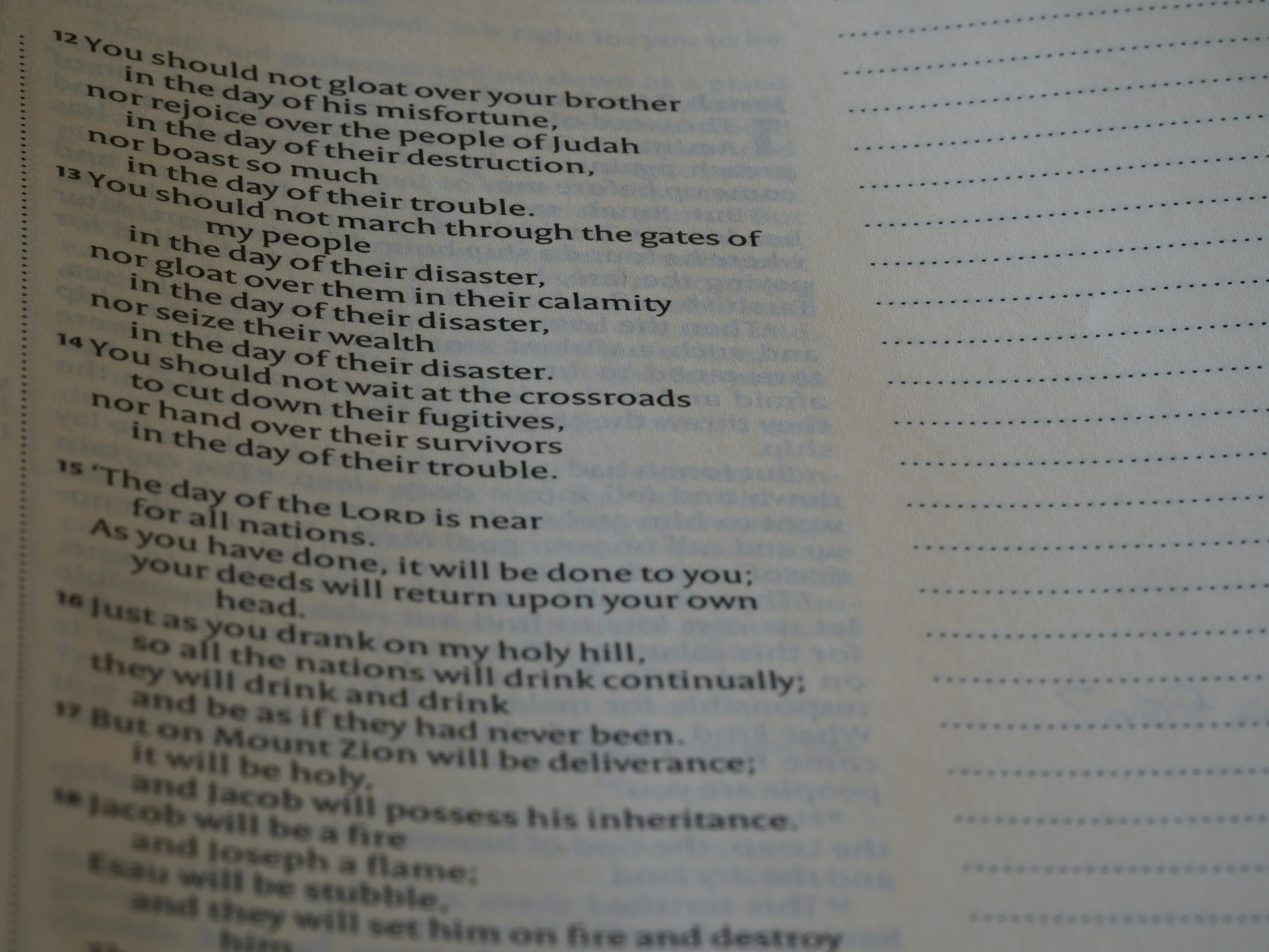 Photo by brett_jordan