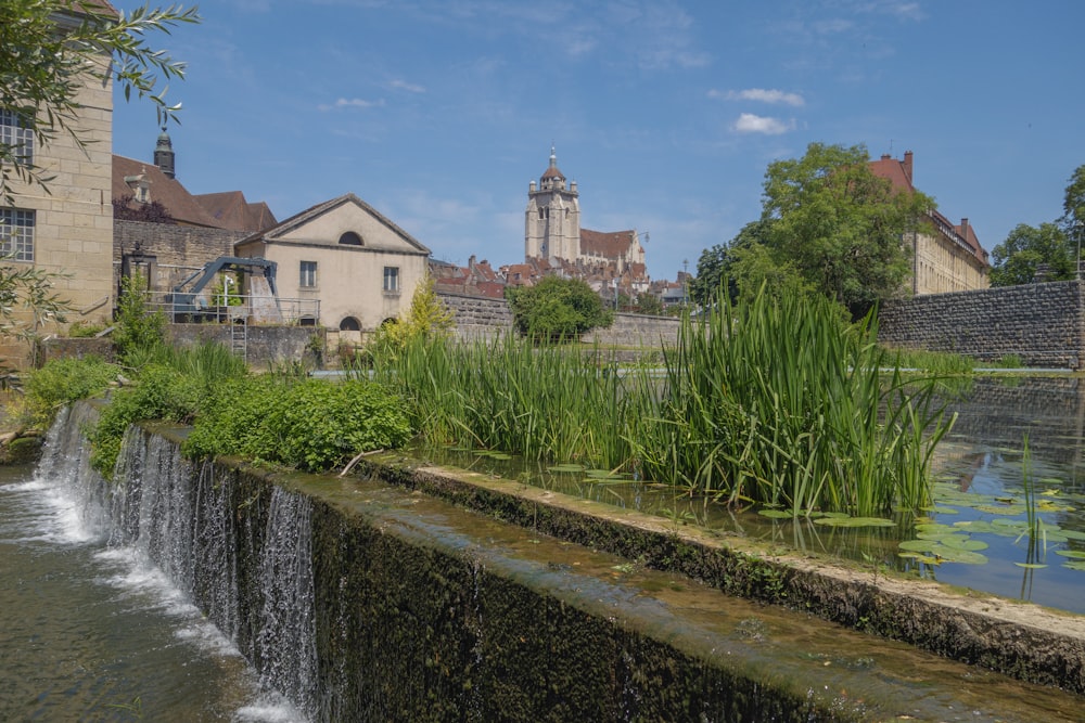 a river running through a lush green park