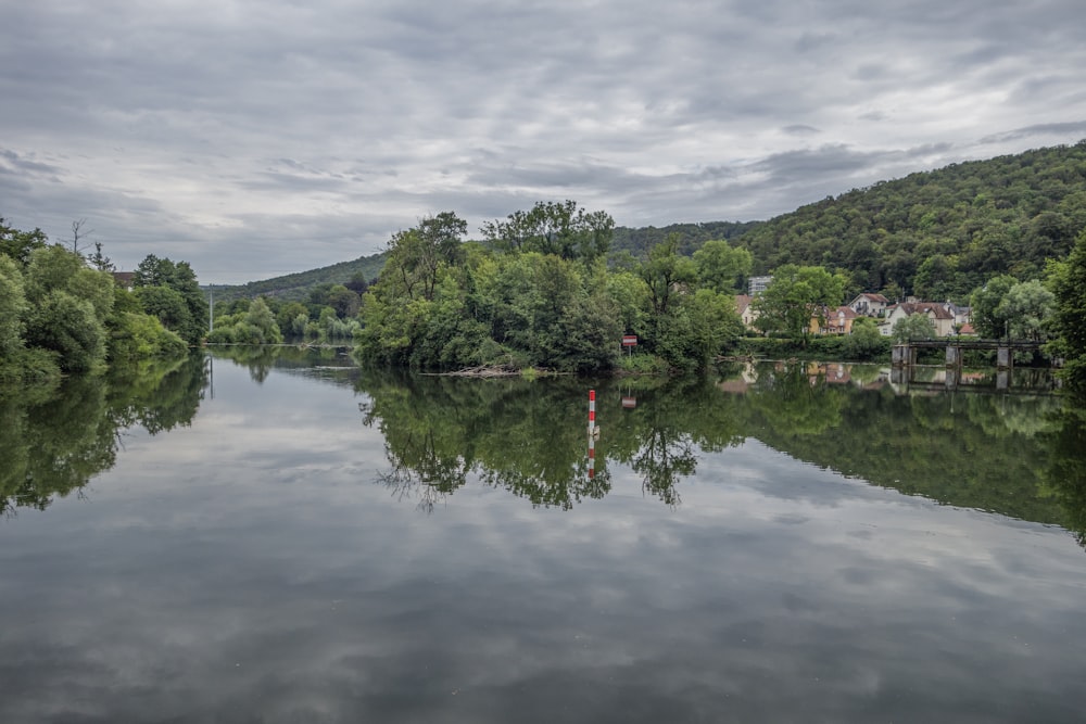 a body of water surrounded by trees and buildings