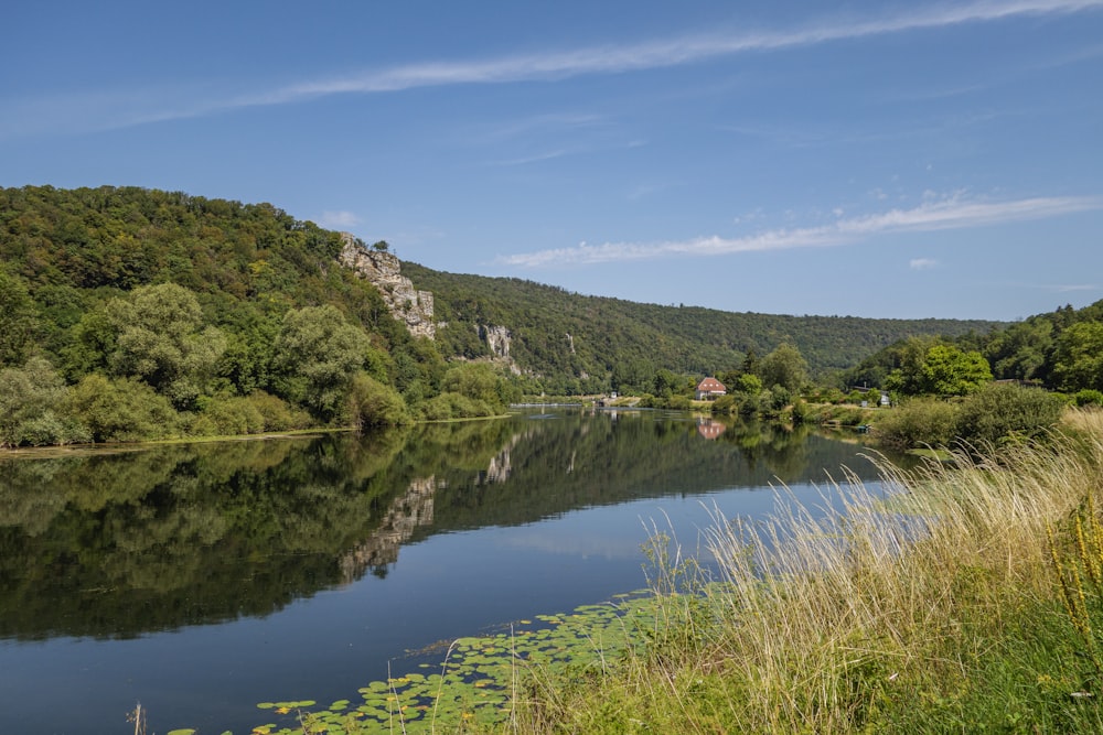 a body of water surrounded by a lush green hillside