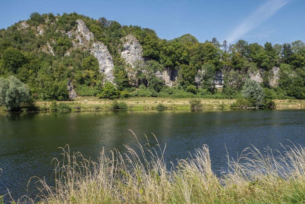 a body of water surrounded by lush green trees